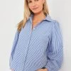 Blue Stripe Palmer Button Down